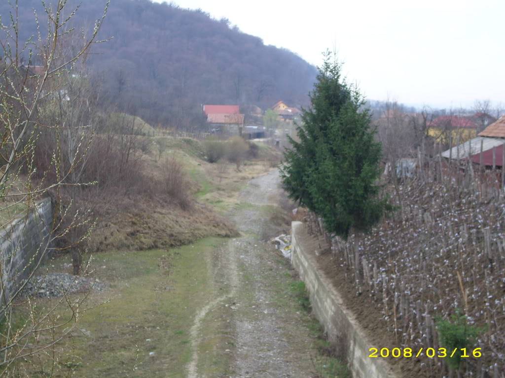 Excursie Ramnicu Valcea - Blidari (pe calea ferata Valcea - Valcele) IMG_1517