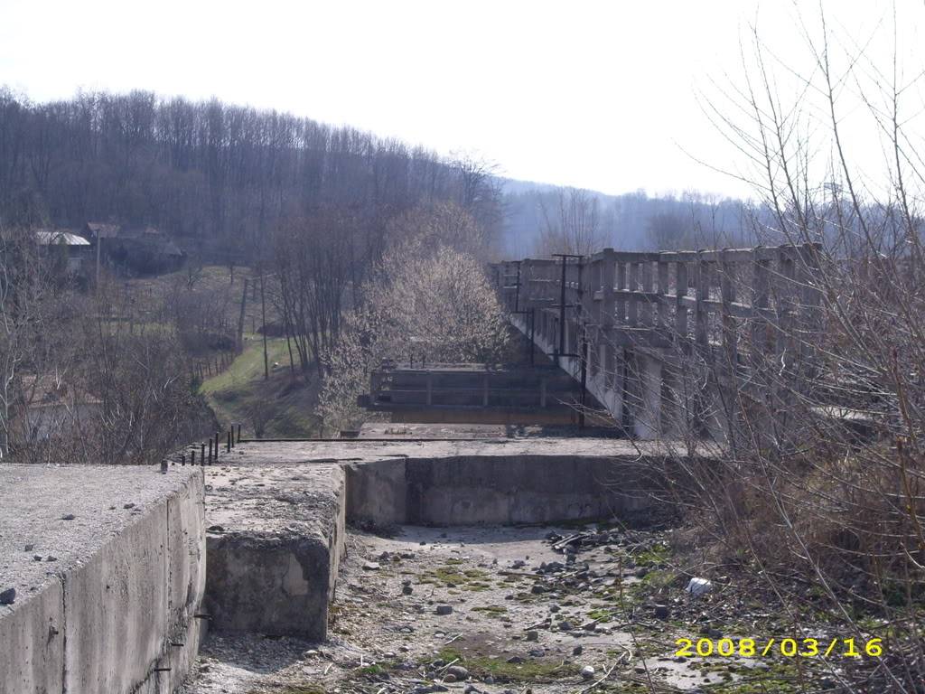 Excursie Ramnicu Valcea - Blidari (pe calea ferata Valcea - Valcele) IMG_1559