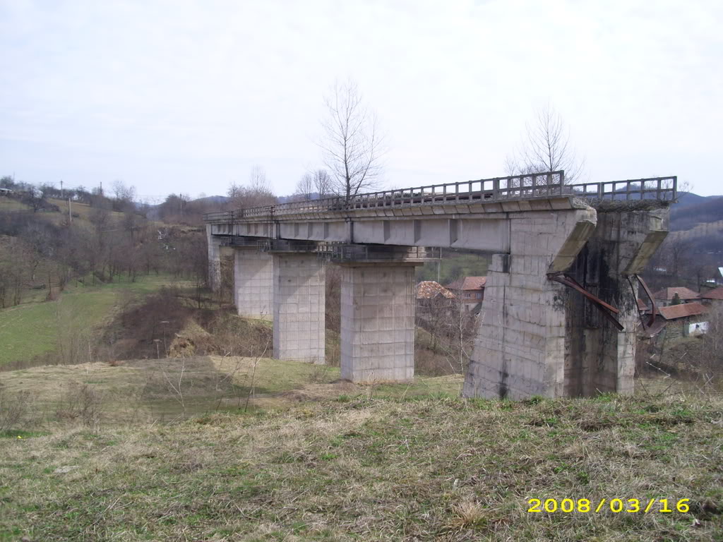 Viaducte din Romania IMG_1584