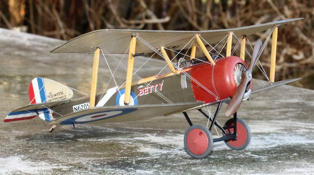 Sopwith Pup, Wing-Nut-Wings 1/32 IMG_9119_zps6pvmntwx