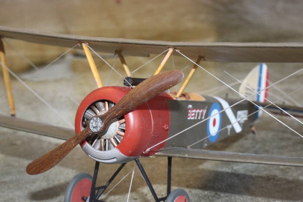 Sopwith Pup, Wing-Nut-Wings 1/32 IMG_9127_zpsrnlhfzfi