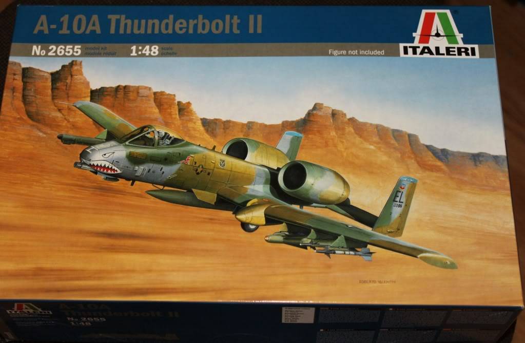 A-10A Thunderbolt II, Italeri 1/48 IMG_0333