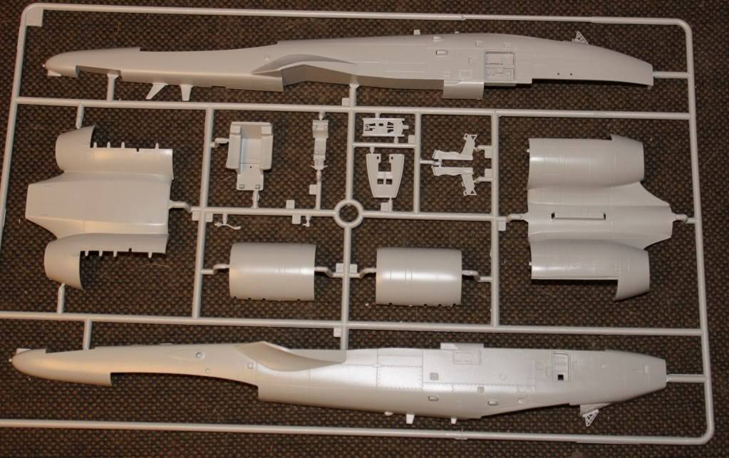 A-10A Thunderbolt II, Italeri 1/48 IMG_0343