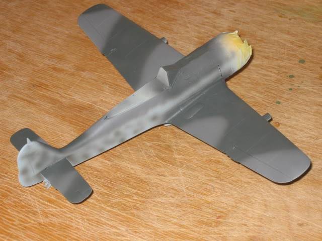 Focke-Wulf Fw190A-5, Eduard 1/48 037-1