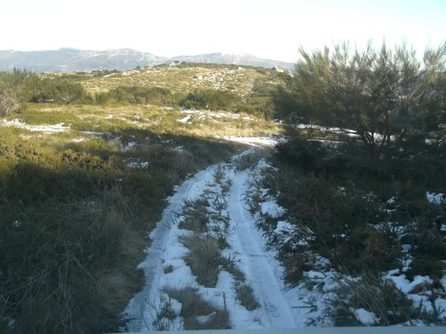 Serra da Aboboreira- Ida a Neve- 11/01/2009 CIMG4573