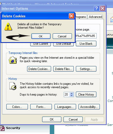 حذف ملفات الكوكيز والشرح بالصور 1748147a671