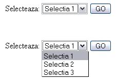 Scripturi pentru forum Form1