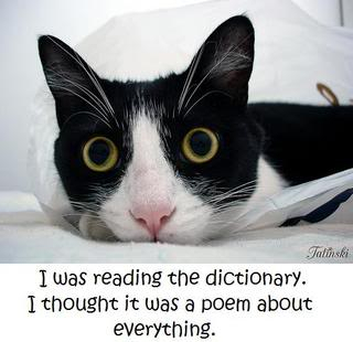 Random-Funny pics Dictionarycat