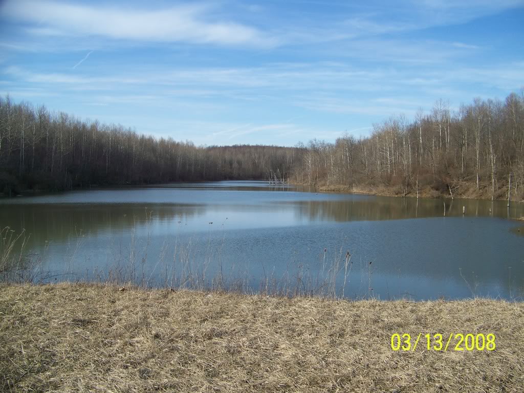 A few pond pics 100_1976