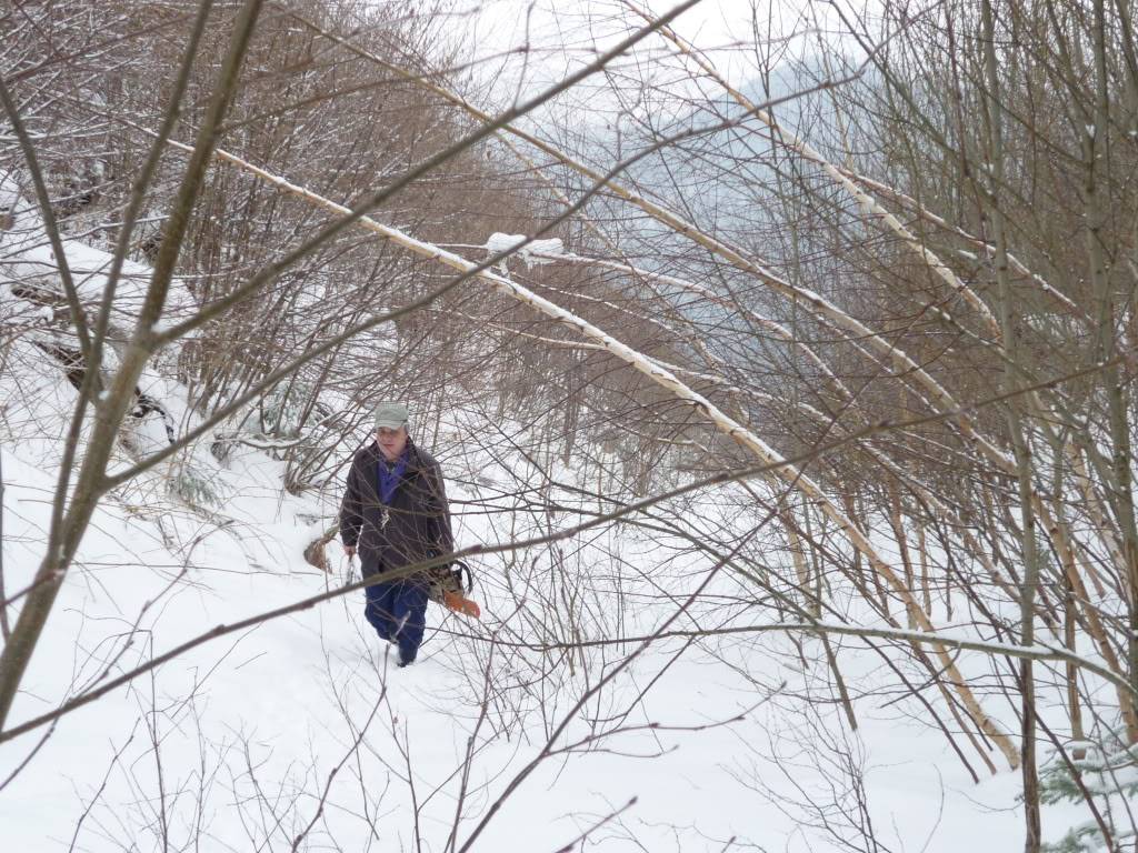 Calea ferată îngustă Covasna - Comandău CVPlanulInclinatDM13032010020