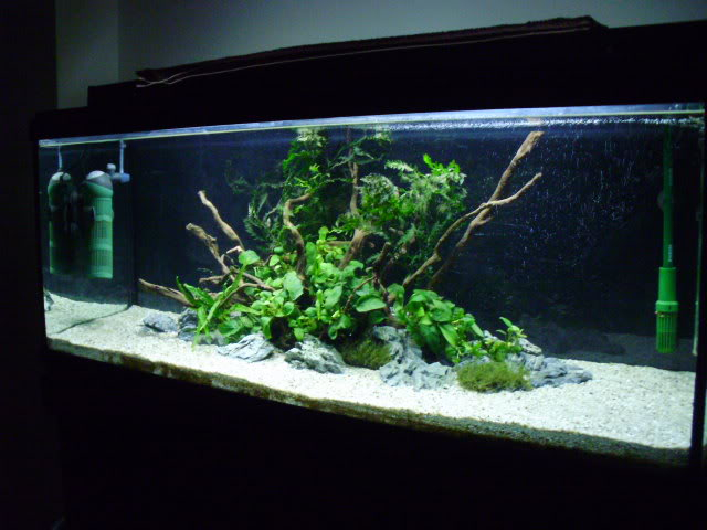 Lowtech Tank - 240L P9230004