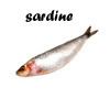 La pche a soso Sardine