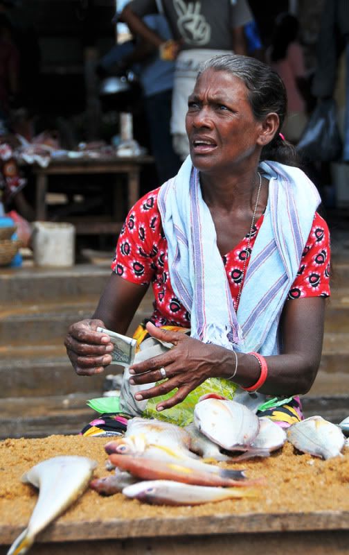 Visages du Sri Lanka Ptsrilanka3421