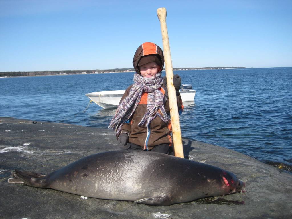 1ière journée de chasse aux loups-marins de mon petit gars! IMG_3817