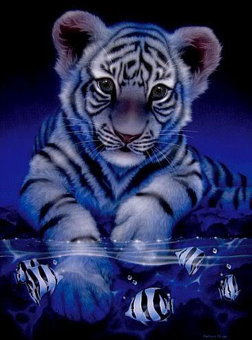 Cute Animals!!! 1235_white-baby-tiger