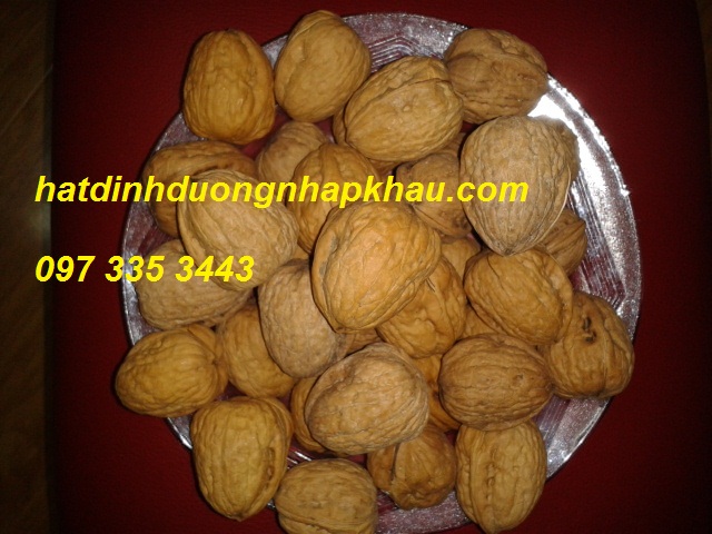 Địa chỉ phân phối quả óc chó uy tín. 0973353443. www.hatdinhduongnhapkhau.com Occhohartley2_zps114a97a5