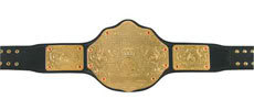 Its all about WWE(Tomorrow is No Mercy baby) World-title