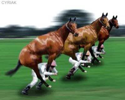 Be~ Bung...............───>> HorseRacing