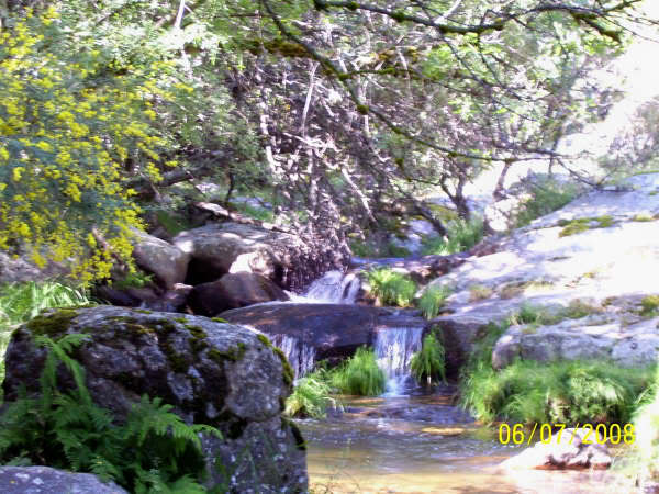 Ruta en Rascafria-Morcuera-Majada del Cojo 4