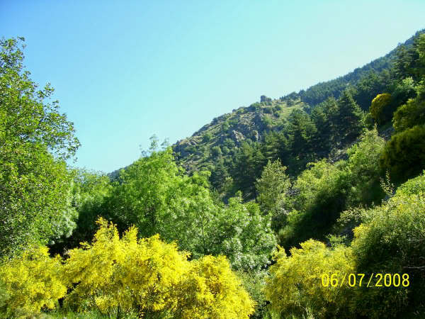 Ruta en Rascafria-Morcuera-Majada del Cojo 5