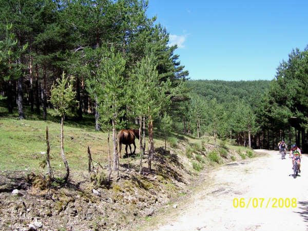 Ruta en Rascafria-Morcuera-Majada del Cojo 993