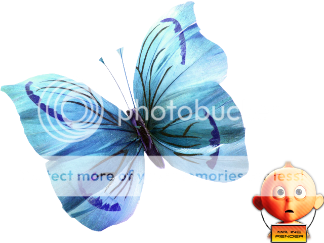 Luko vs. Criscracker Butterfly