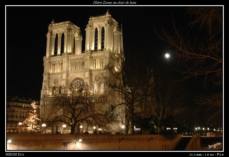 Mes premiers essais de nuit (nouvelles photos le 27/01/08) 14-NotreDame