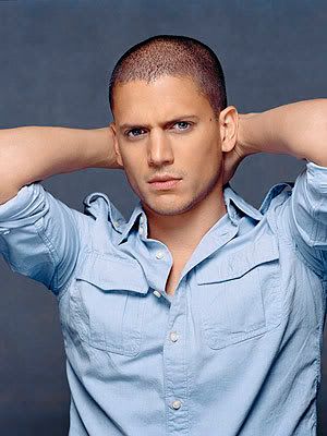 Expediente del convicto 94941 WentworthMiller