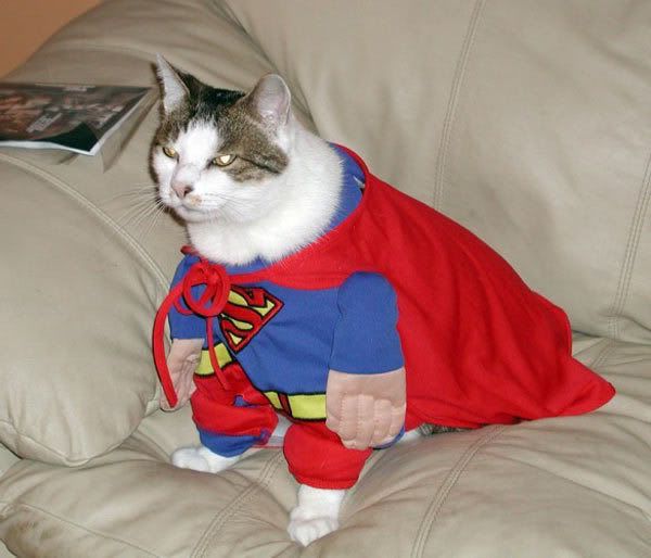 [Urgent] Logos Super_cat