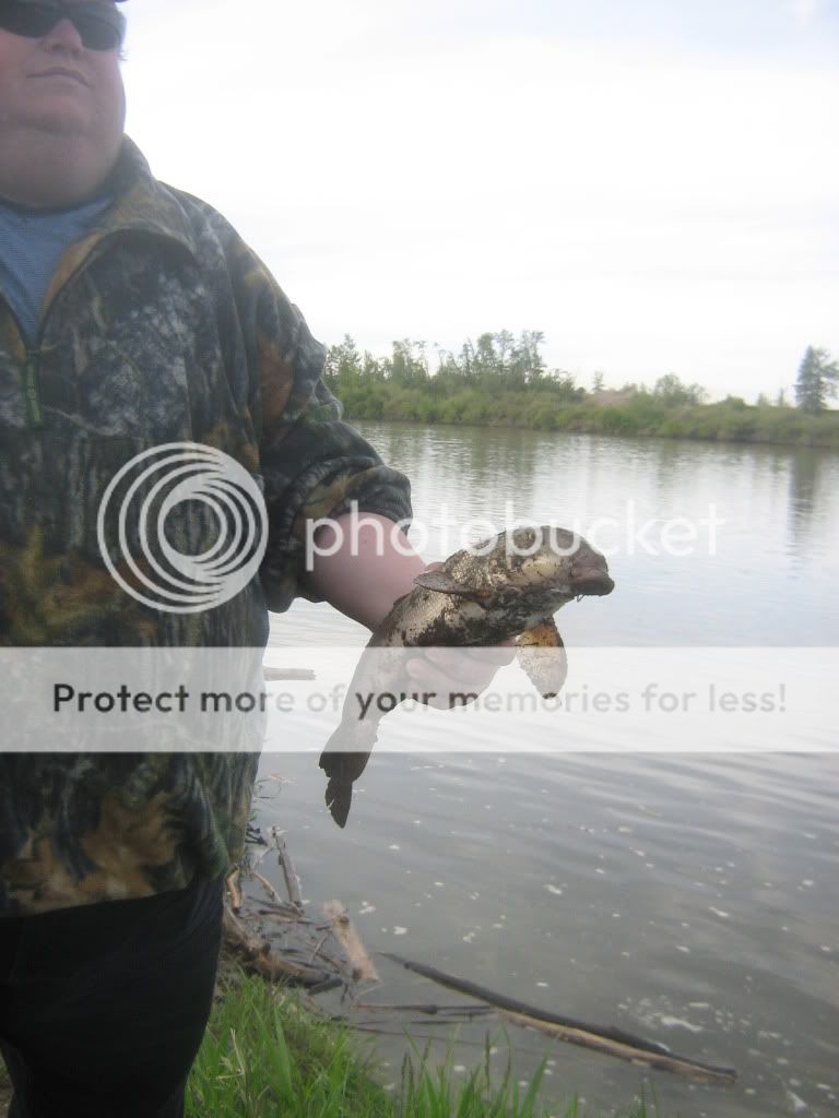 Pictures from when ive been out fishin . Beaware Dial up users . Ff9f3735