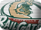 SimCity League Baseball 2010 Railcats