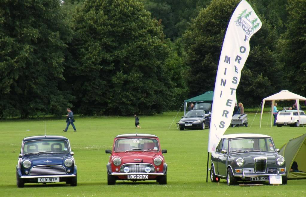 Great Western Mini Day - Blaise Castle, Bristol - Sun 19th July DSCF15601