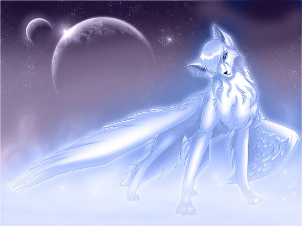 Moonlight Kindom - Page 2 Wolf-4-2