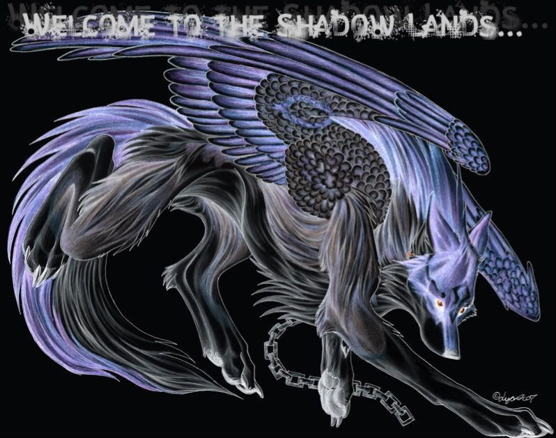 Shadow lands Fly__Wolf_Link__Fly__by_Lyanti-1-2