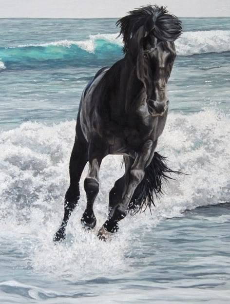 Black Beautys Black-stallion-31