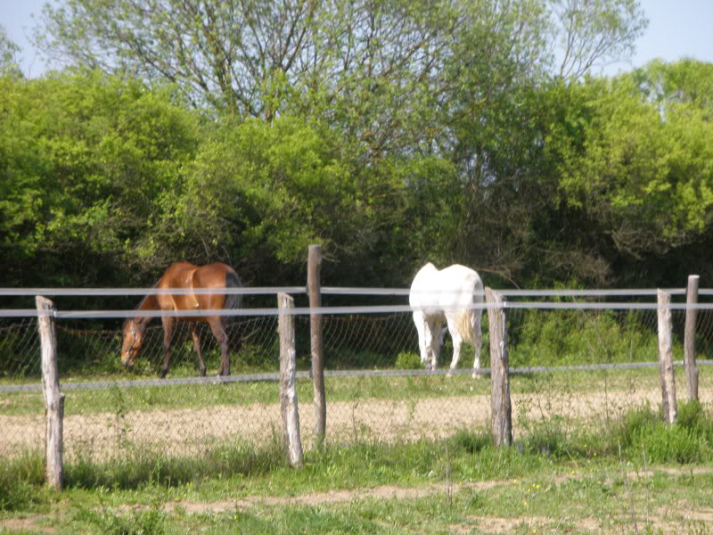 Ranch Okuje P4250047