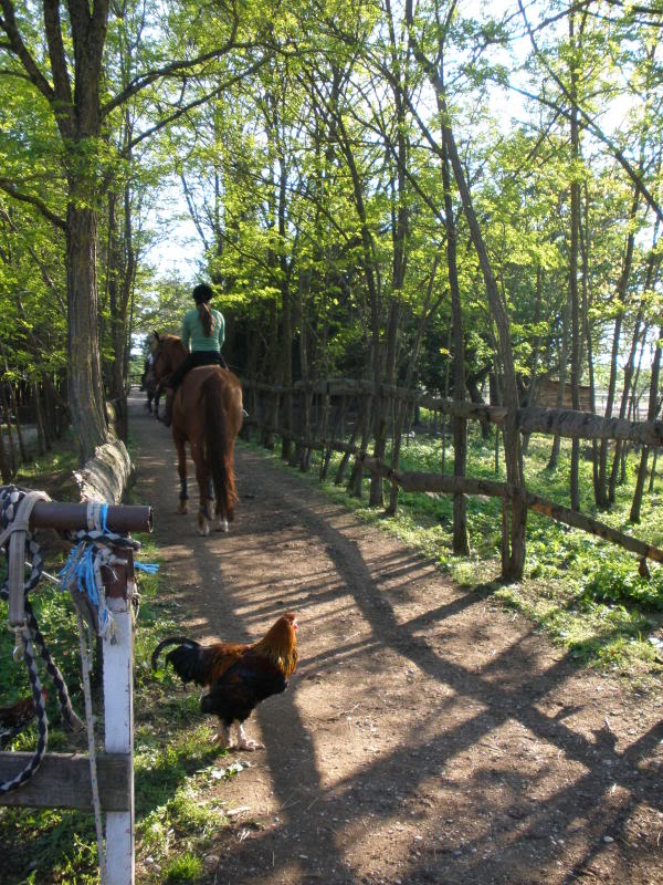 Ranch Okuje P4250119