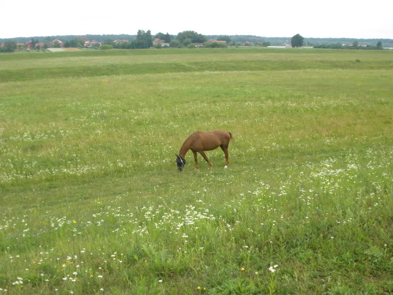 Ranch Okuje P6280060