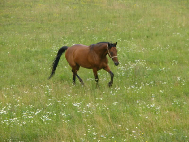 Ranch Okuje P6280072