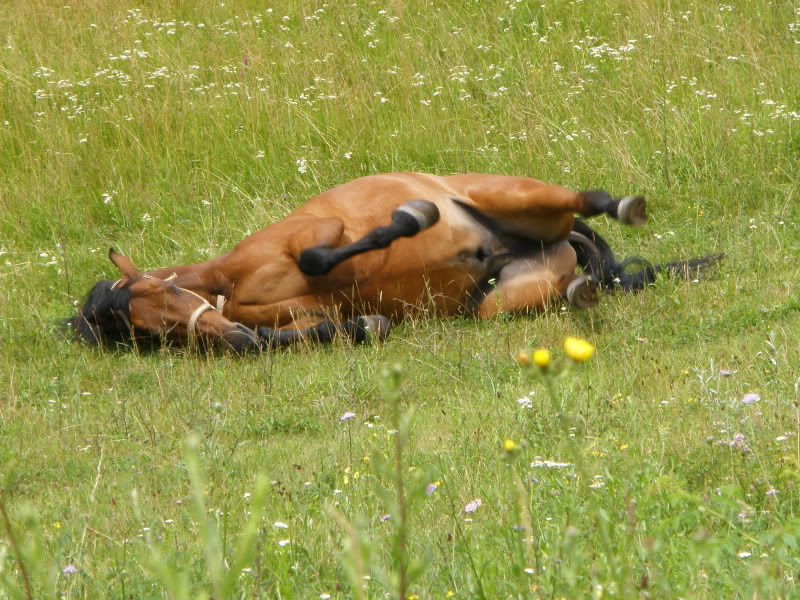 Ranch Okuje P6280079