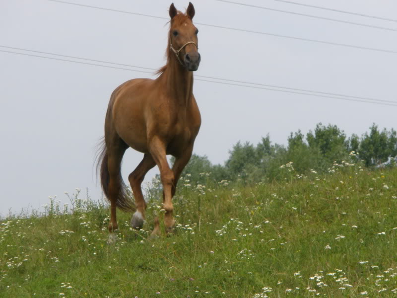 Ranch Okuje P6280116