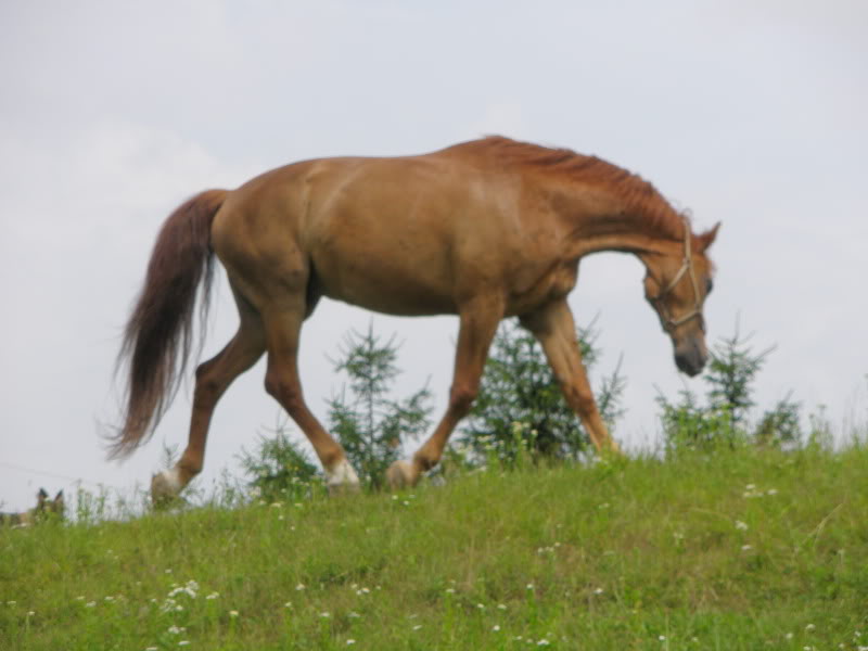 Ranch Okuje P6280117