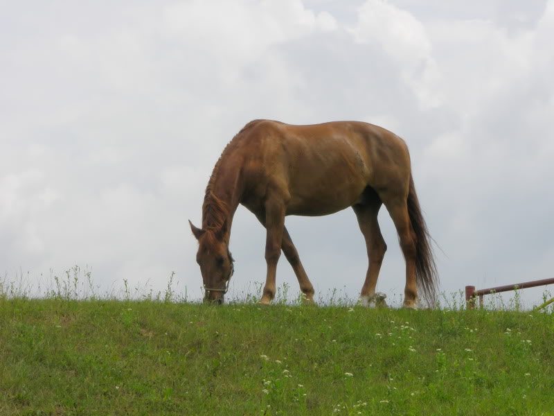 Ranch Okuje P6280121