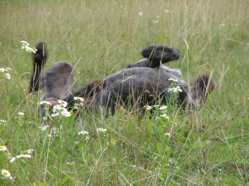 Ranch Okuje P6280151