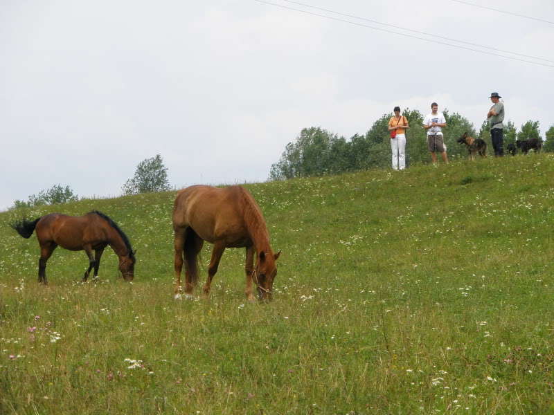 Ranch Okuje P6280233