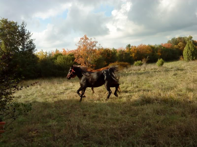 moja Laruska! Dsc00160g