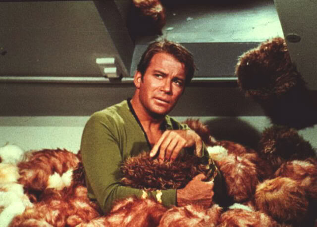 way cool pictures - Page 9 Tribbles