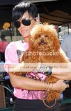 Rihanna - Page 2 Th_02495_rihanna-puppy-4118-6_122_844l