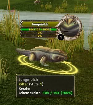 Jungmolch_ Jungmolch