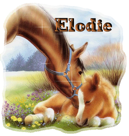 signatures Elodie-1